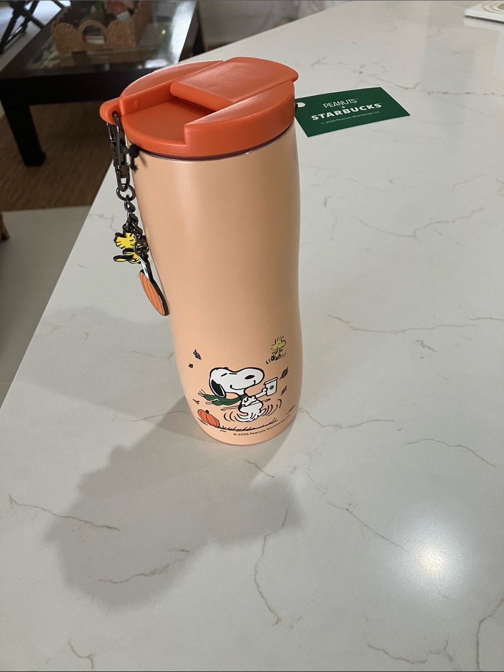 Starbucks X Peanuts Snoopy Woodstock Stainless Tumbler 16oz 2026 Limited Edition